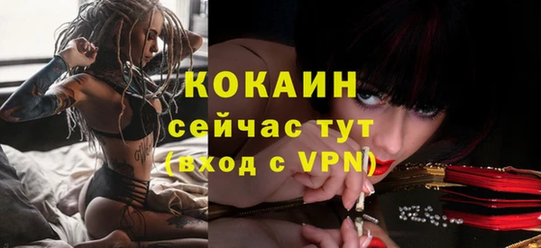 крисы Гусь-Хрустальный