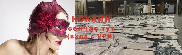 крисы Гусь-Хрустальный