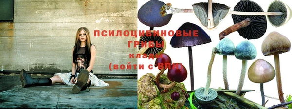 кокс Гусиноозёрск