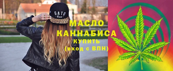 крисы Гусь-Хрустальный